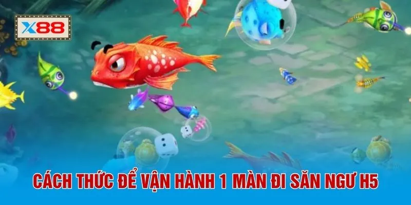 Cách thức để vận hành 1 màn đi săn ngư H5