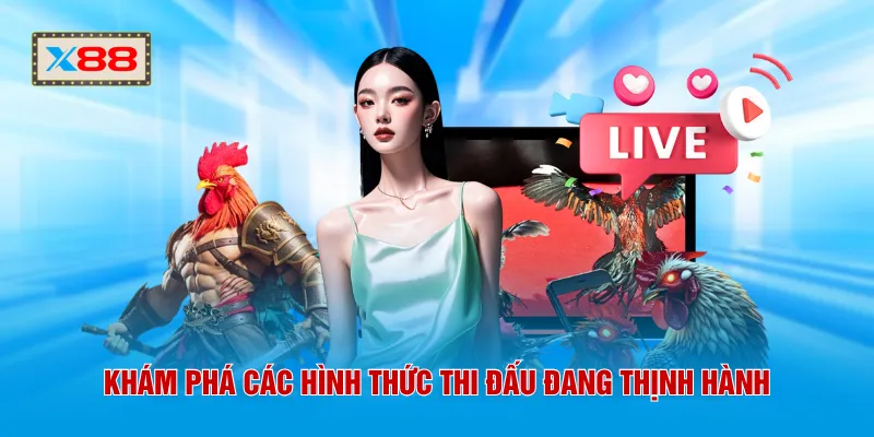 Khám phá các hình thức thi đấu đang thịnh hành