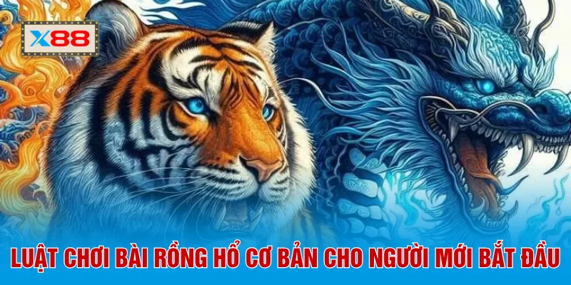 Luật chơi bài rồng hổ cơ bản cho người mới bắt đầu